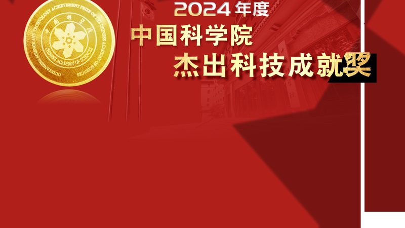 智能升级，零售新纪元：连锁零售商业智能项目案例分析**